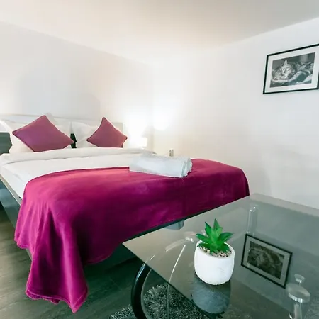Montana Penthouse Coresi Mall Apartment Brasov